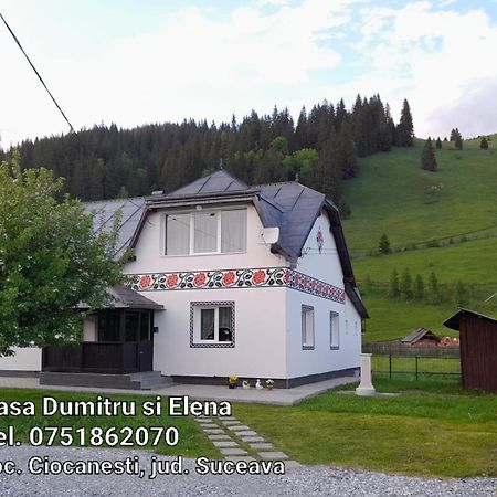 Casa Dumitru Si Elena Ciocanesti Bucovina Kamer foto