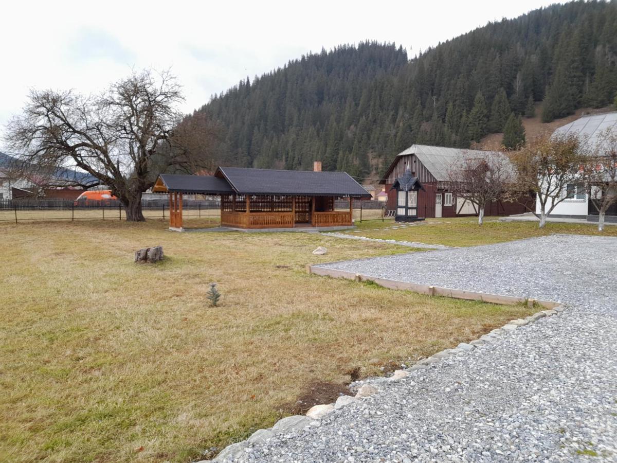 Casa Dumitru Si Elena Ciocanesti Bucovina Buitenkant foto
