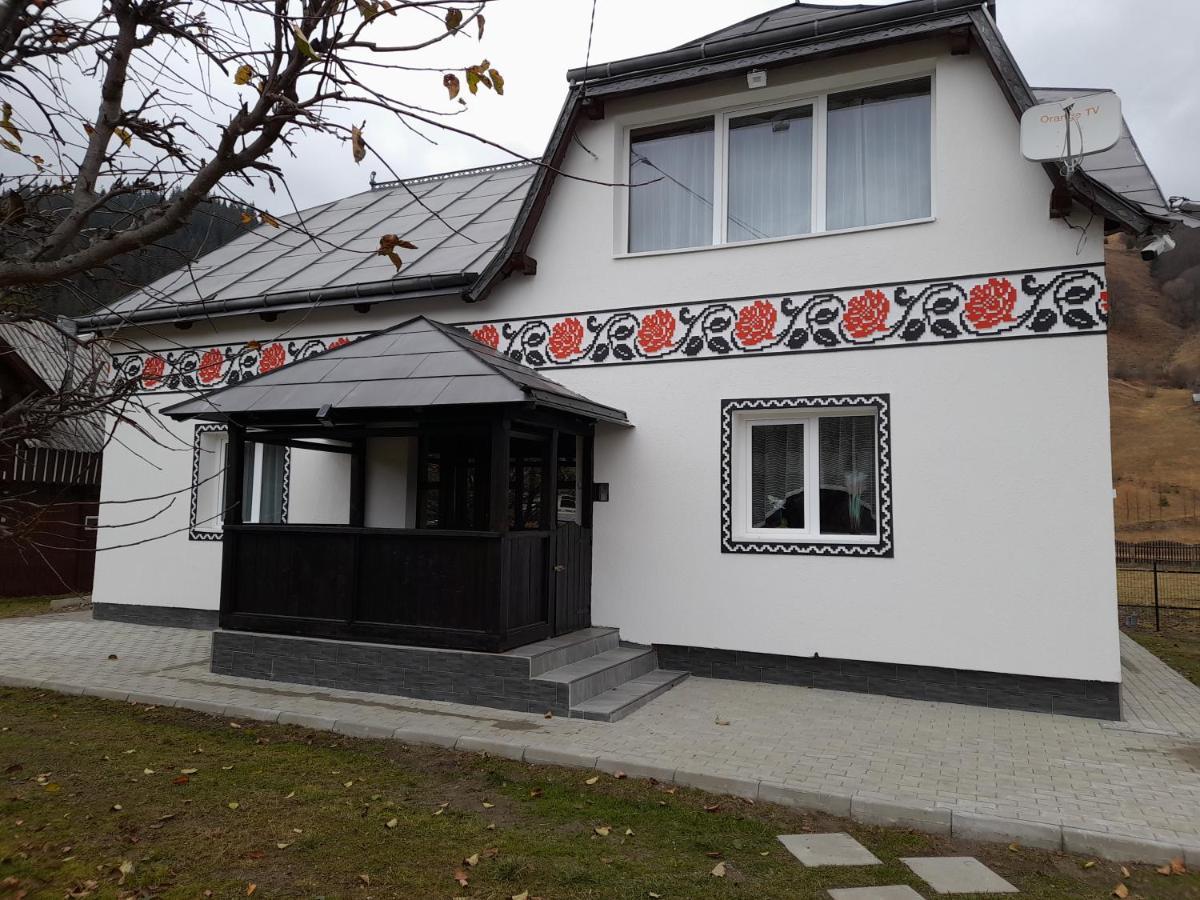 Casa Dumitru Si Elena Ciocanesti Bucovina Buitenkant foto