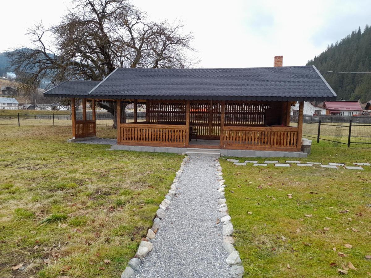 Casa Dumitru Si Elena Ciocanesti Bucovina Buitenkant foto