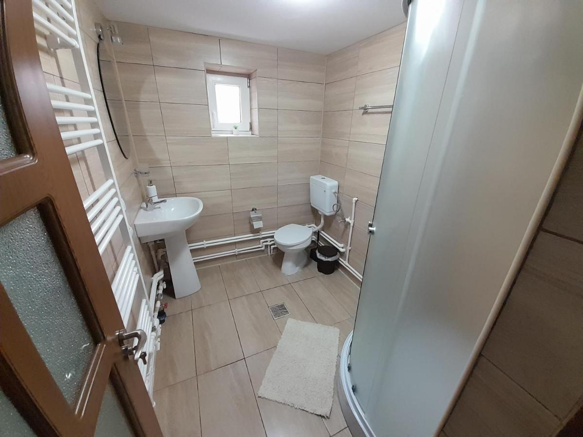 Casa Dumitru Si Elena Ciocanesti Bucovina Buitenkant foto