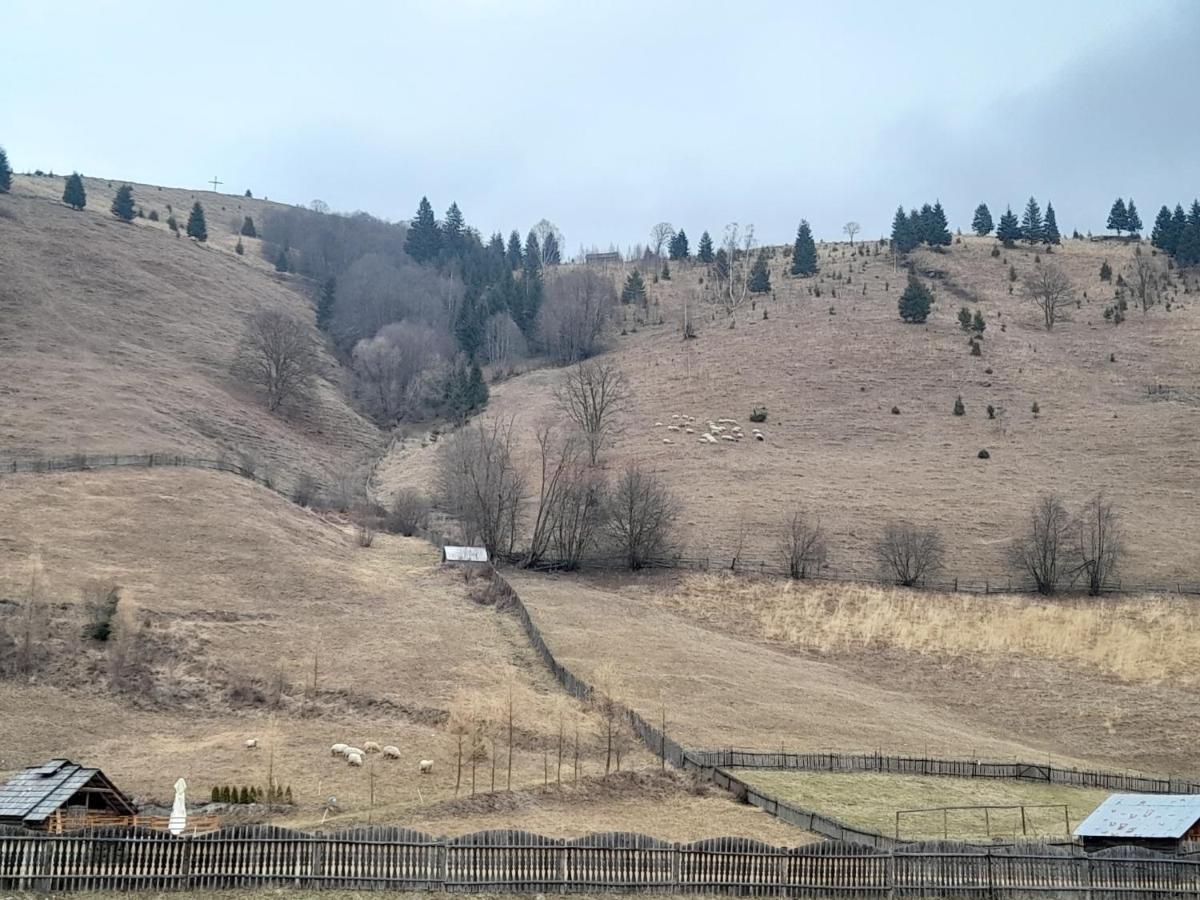 Casa Dumitru Si Elena Ciocanesti Bucovina Buitenkant foto