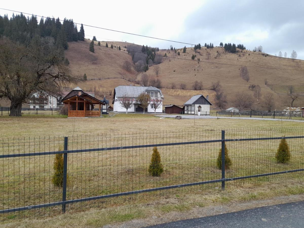 Casa Dumitru Si Elena Ciocanesti Bucovina Buitenkant foto