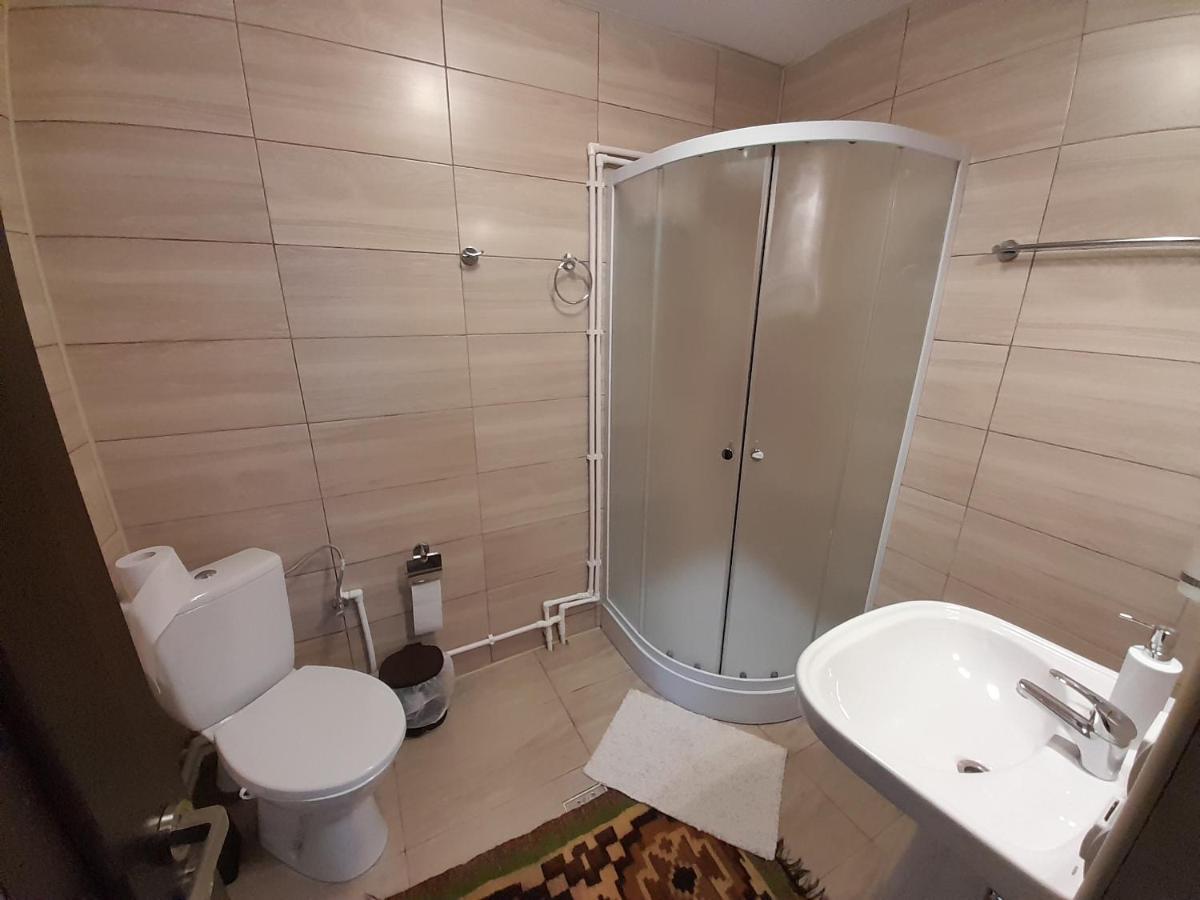 Casa Dumitru Si Elena Ciocanesti Bucovina Buitenkant foto