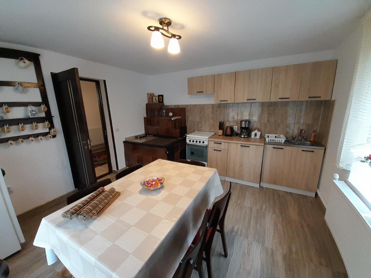 Casa Dumitru Si Elena Ciocanesti Bucovina Buitenkant foto