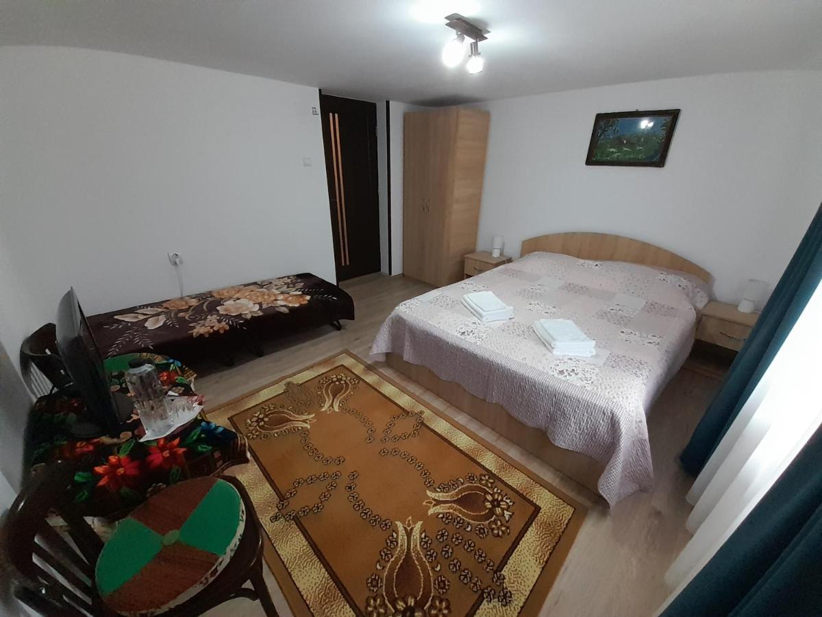 Casa Dumitru Si Elena Ciocanesti Bucovina Buitenkant foto
