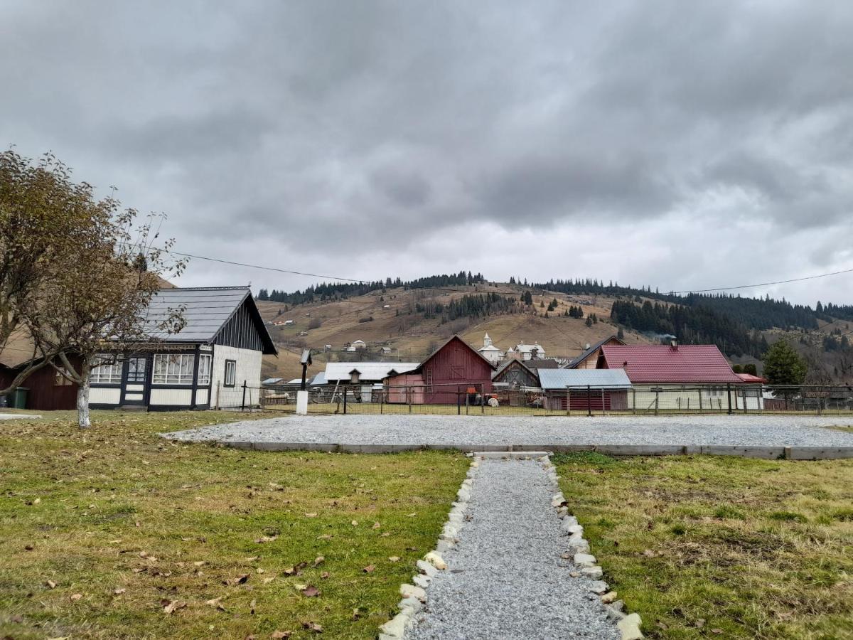 Casa Dumitru Si Elena Ciocanesti Bucovina Buitenkant foto
