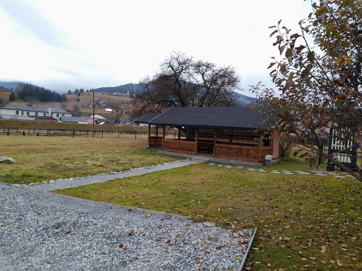 Casa Dumitru Si Elena Ciocanesti Bucovina Buitenkant foto