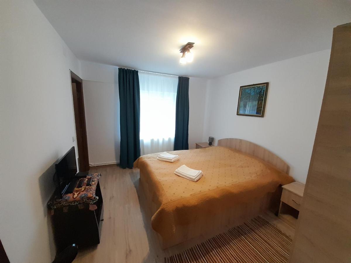 Casa Dumitru Si Elena Ciocanesti Bucovina Buitenkant foto