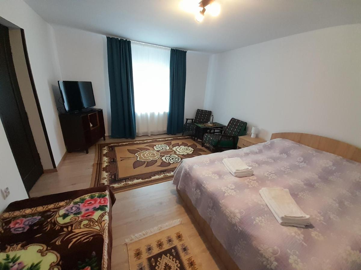 Casa Dumitru Si Elena Ciocanesti Bucovina Buitenkant foto