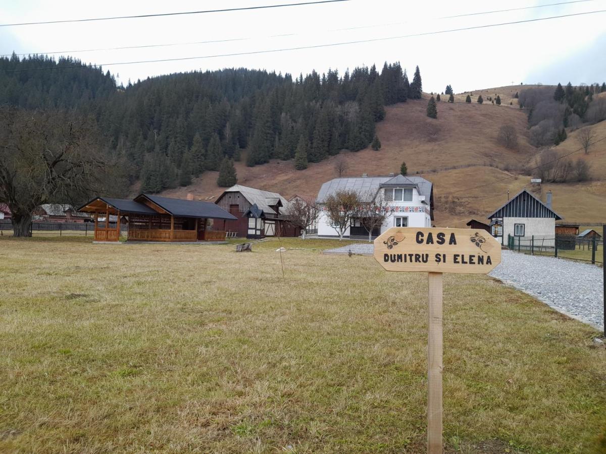 Casa Dumitru Si Elena Ciocanesti Bucovina Buitenkant foto