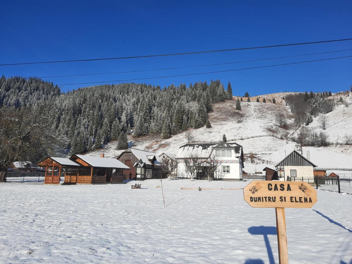 Casa Dumitru Si Elena Ciocanesti Bucovina Buitenkant foto