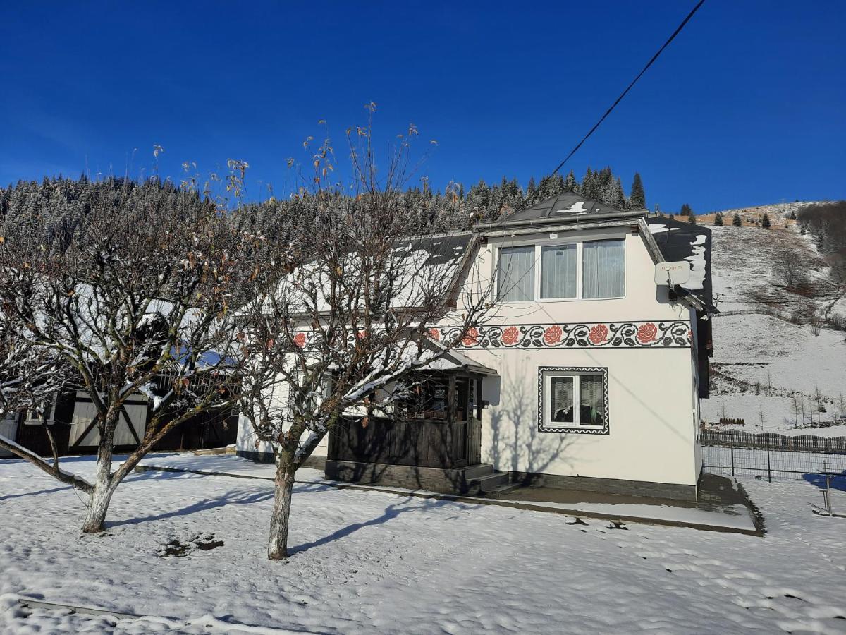 Casa Dumitru Si Elena Ciocanesti Bucovina Buitenkant foto