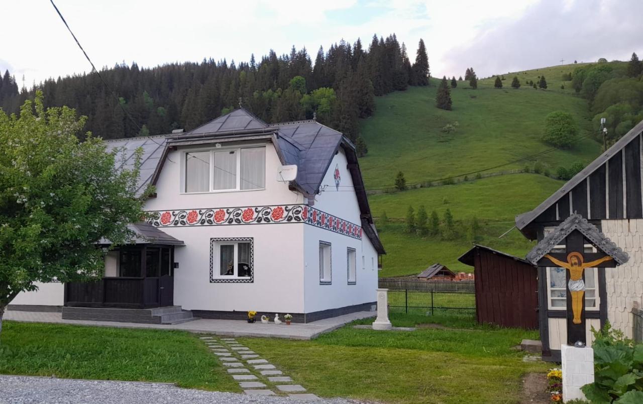 Casa Dumitru Si Elena Ciocanesti Bucovina Buitenkant foto