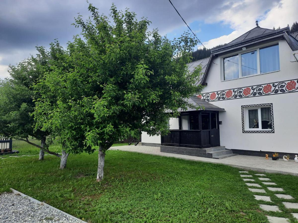 Casa Dumitru Si Elena Ciocanesti Bucovina Buitenkant foto