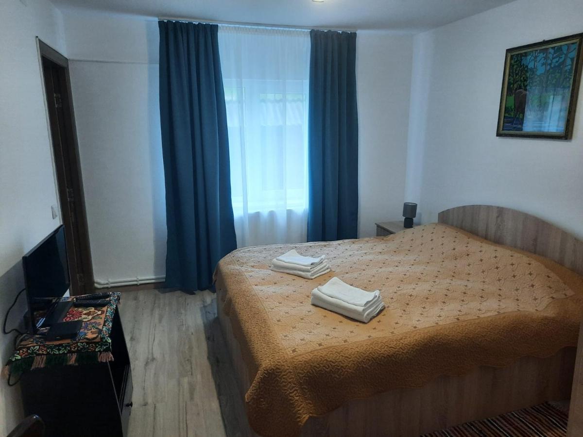 Casa Dumitru Si Elena Ciocanesti Bucovina Buitenkant foto