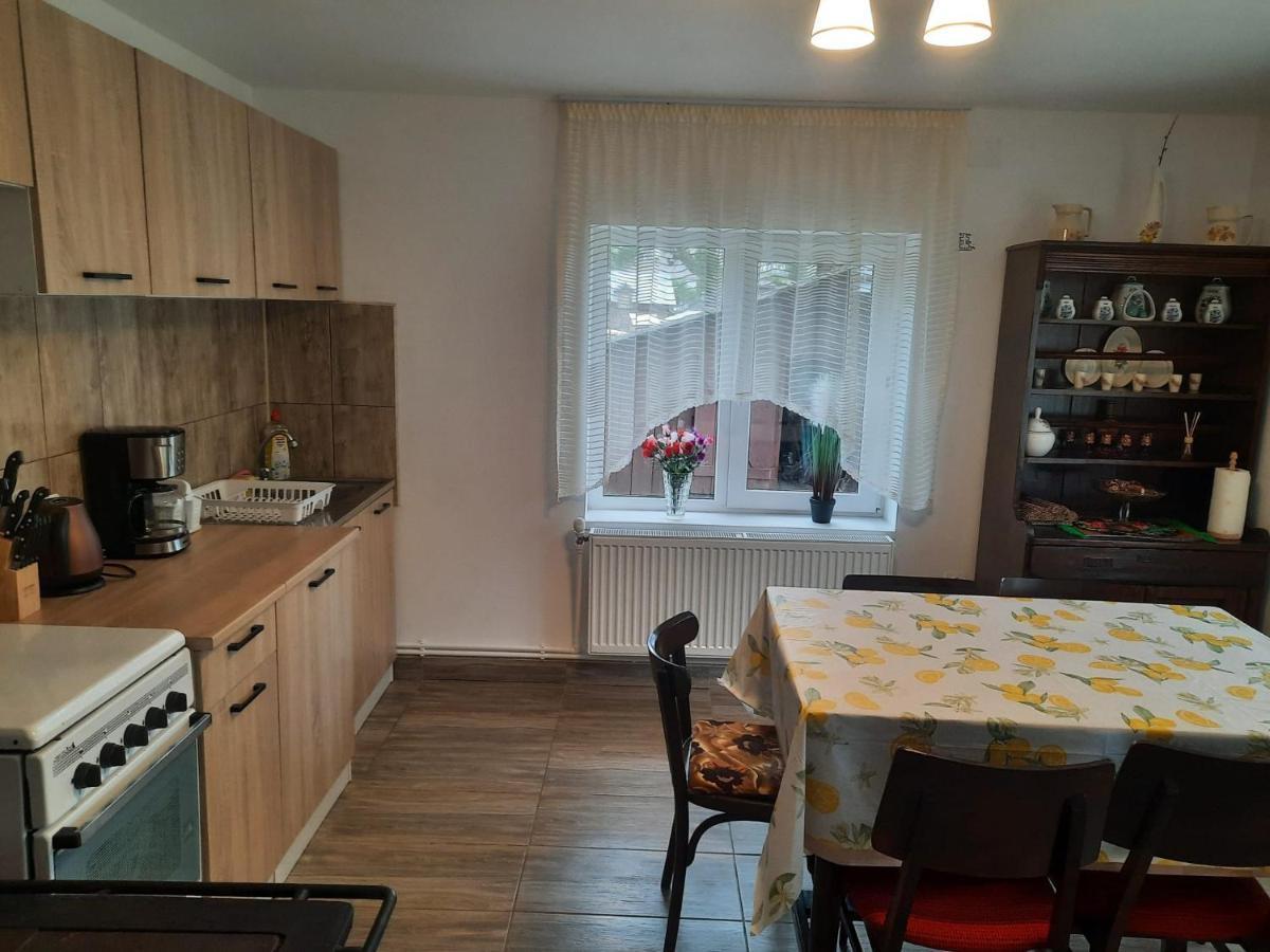 Casa Dumitru Si Elena Ciocanesti Bucovina Buitenkant foto