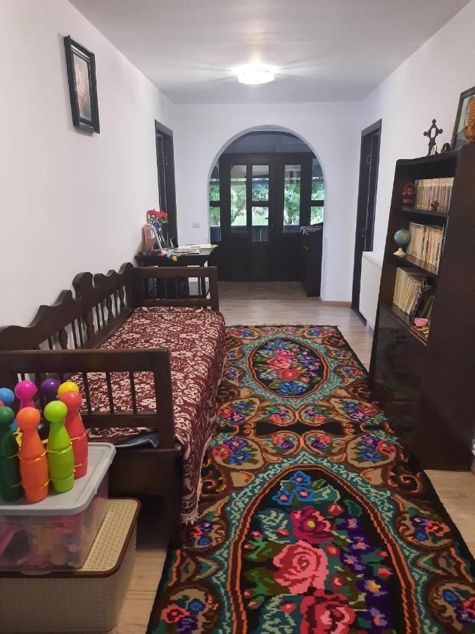 Casa Dumitru Si Elena Ciocanesti Bucovina Buitenkant foto