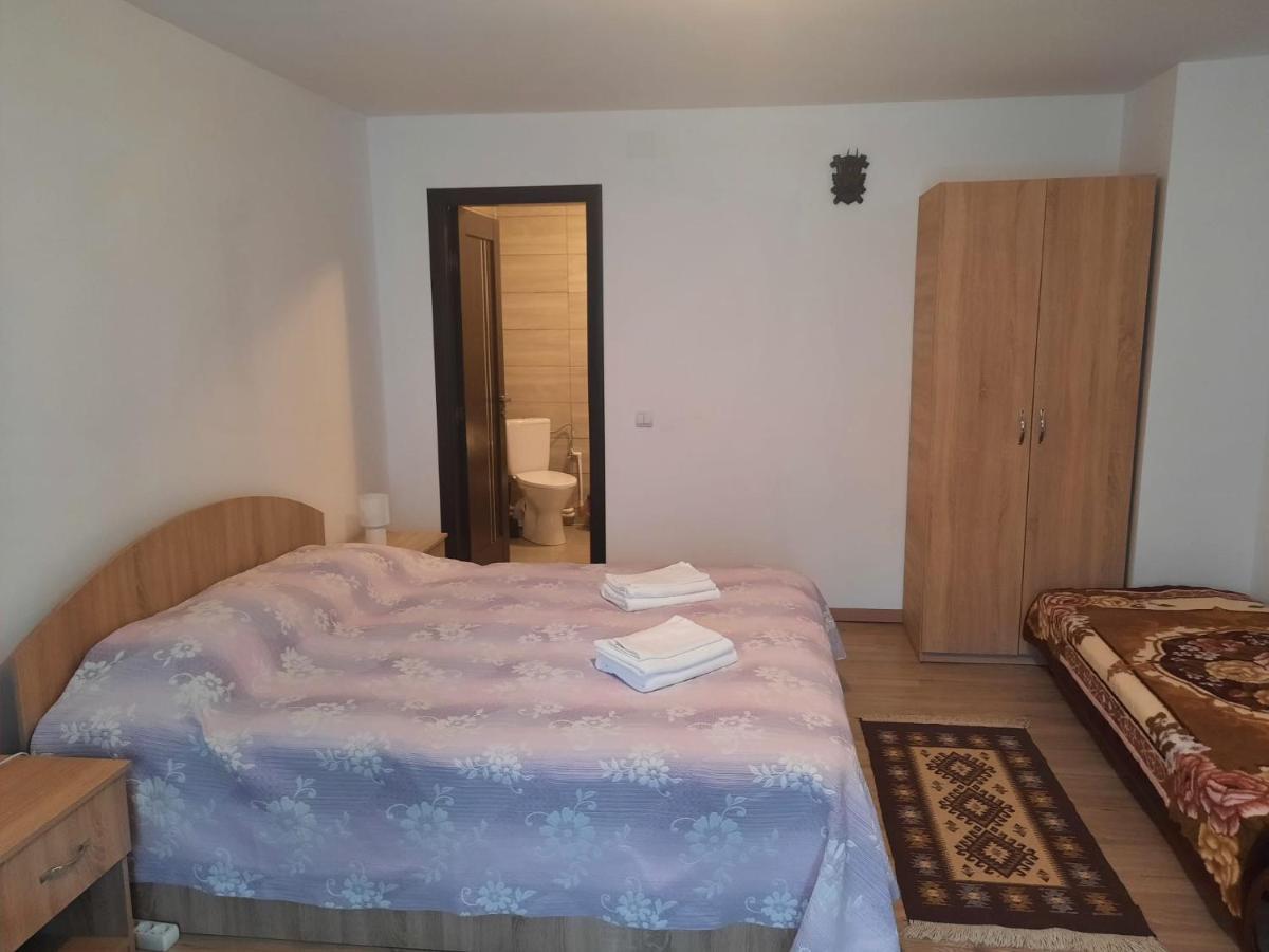 Casa Dumitru Si Elena Ciocanesti Bucovina Buitenkant foto