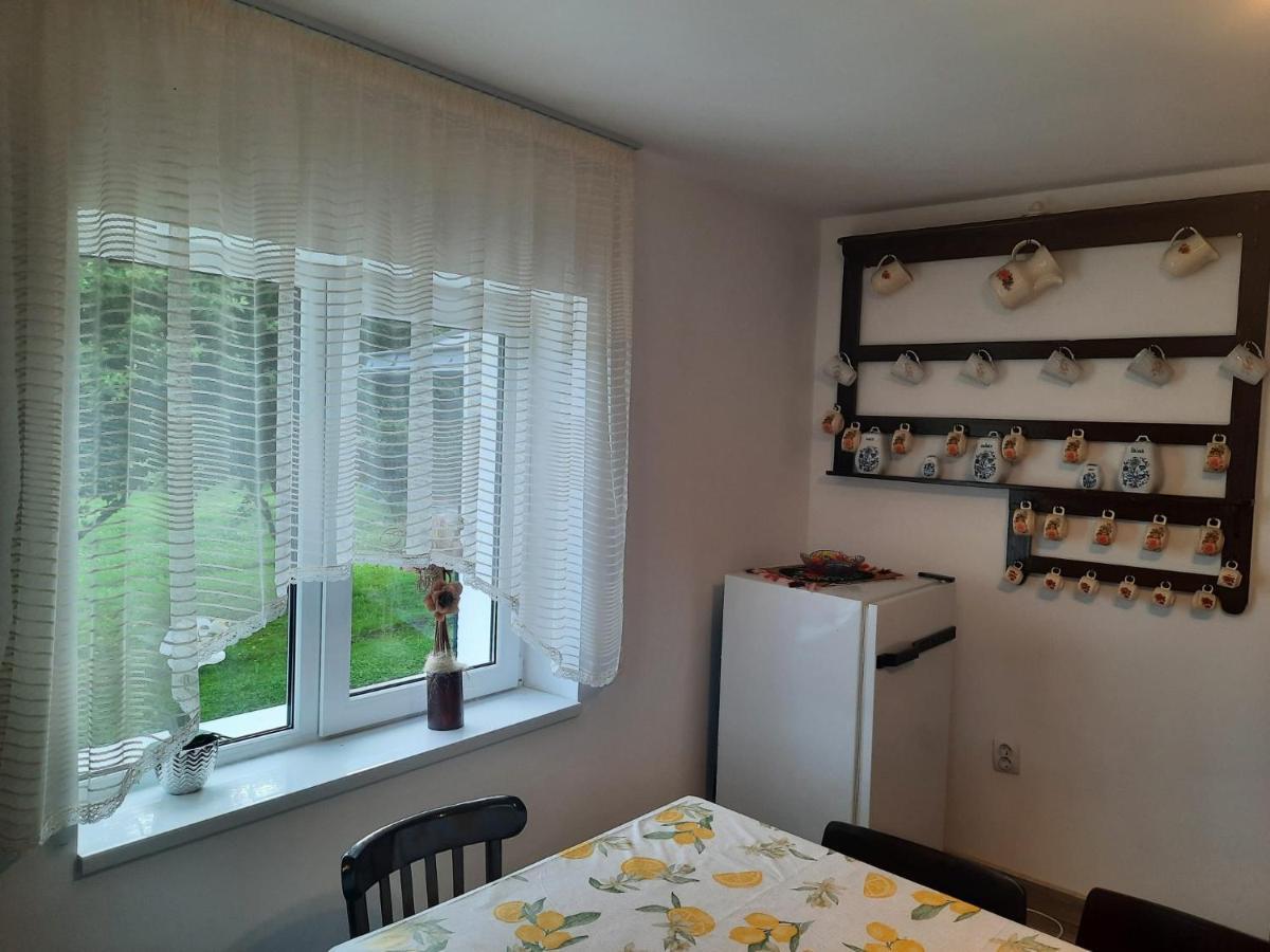 Casa Dumitru Si Elena Ciocanesti Bucovina Buitenkant foto