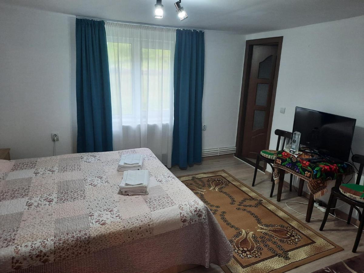 Casa Dumitru Si Elena Ciocanesti Bucovina Buitenkant foto