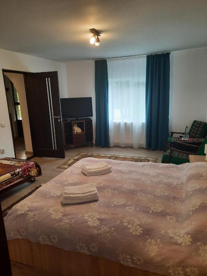 Casa Dumitru Si Elena Ciocanesti Bucovina Buitenkant foto