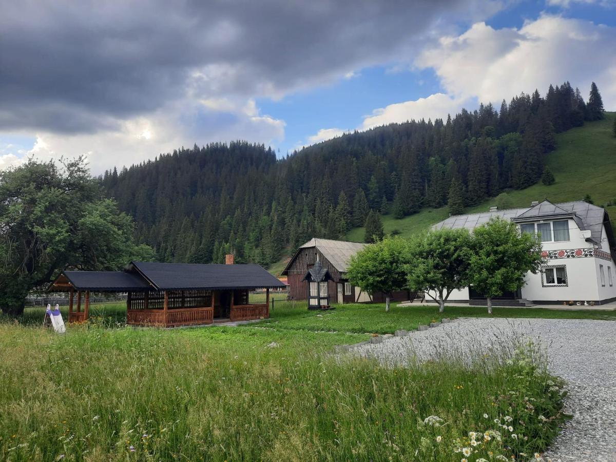 Casa Dumitru Si Elena Ciocanesti Bucovina Buitenkant foto