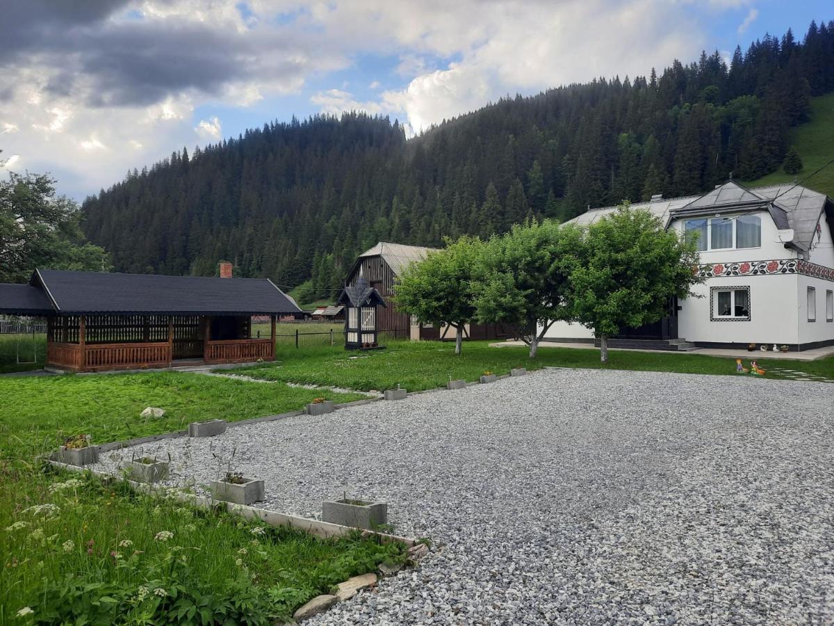 Casa Dumitru Si Elena Ciocanesti Bucovina Buitenkant foto