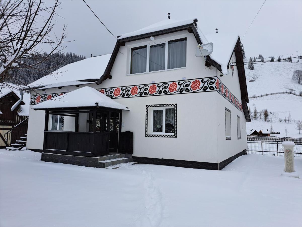 Casa Dumitru Si Elena Ciocanesti Bucovina Buitenkant foto