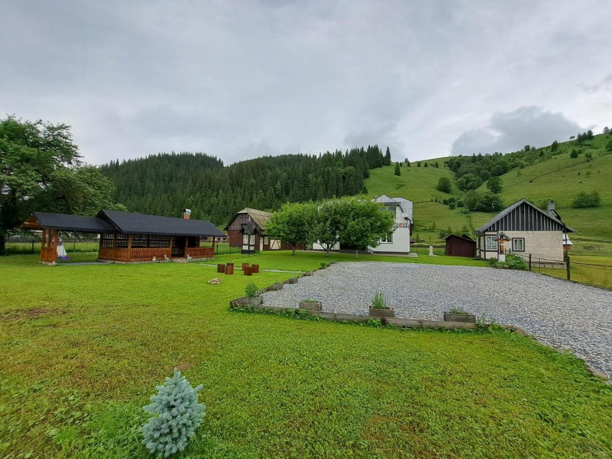 Casa Dumitru Si Elena Ciocanesti Bucovina Buitenkant foto