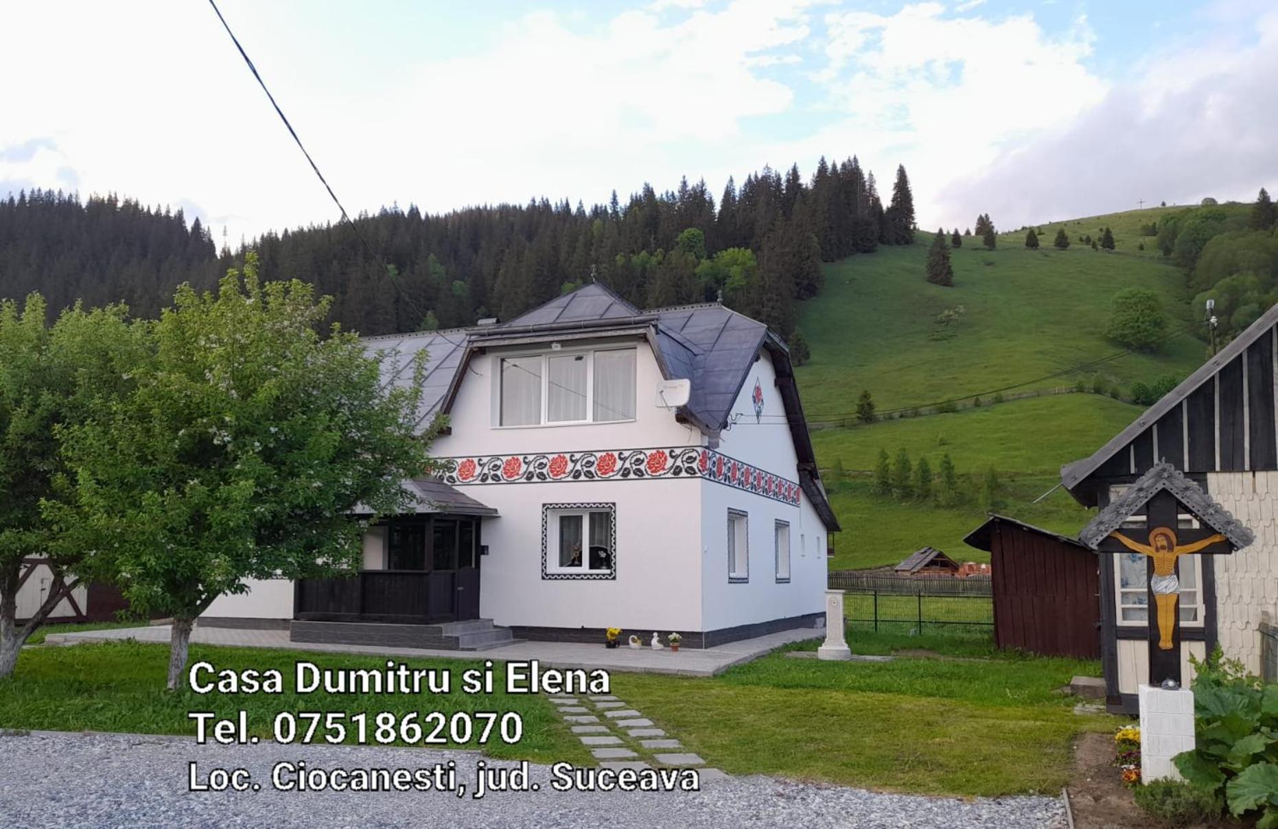 Casa Dumitru Si Elena Ciocanesti Bucovina Kamer foto